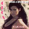 album_kukavica.jpg